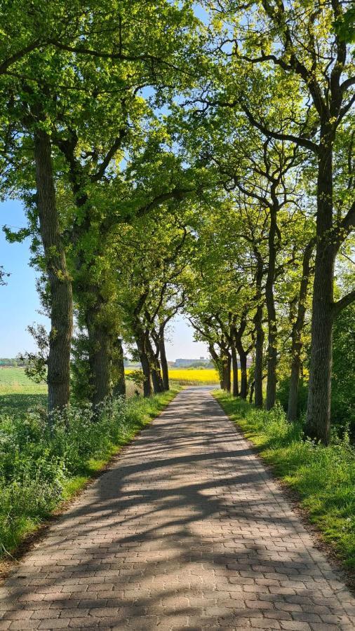 Ferienwohnung Baltrum Auf Dem Elisenhof Hagermarsch Esterno foto
