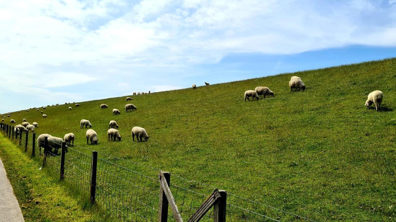 Ferienwohnung Baltrum Auf Dem Elisenhof Hagermarsch Esterno foto