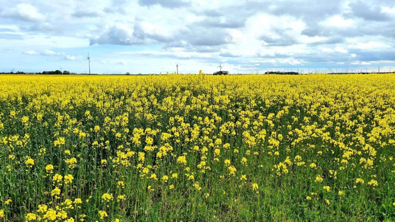 Ferienwohnung Baltrum Auf Dem Elisenhof Hagermarsch Esterno foto